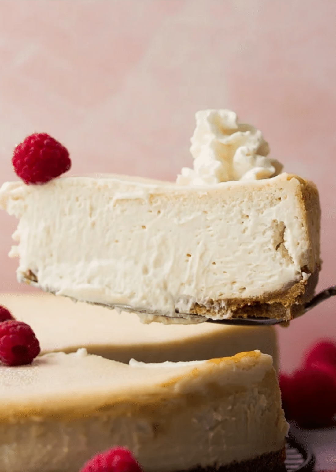Vegan cheesecake flavor variations