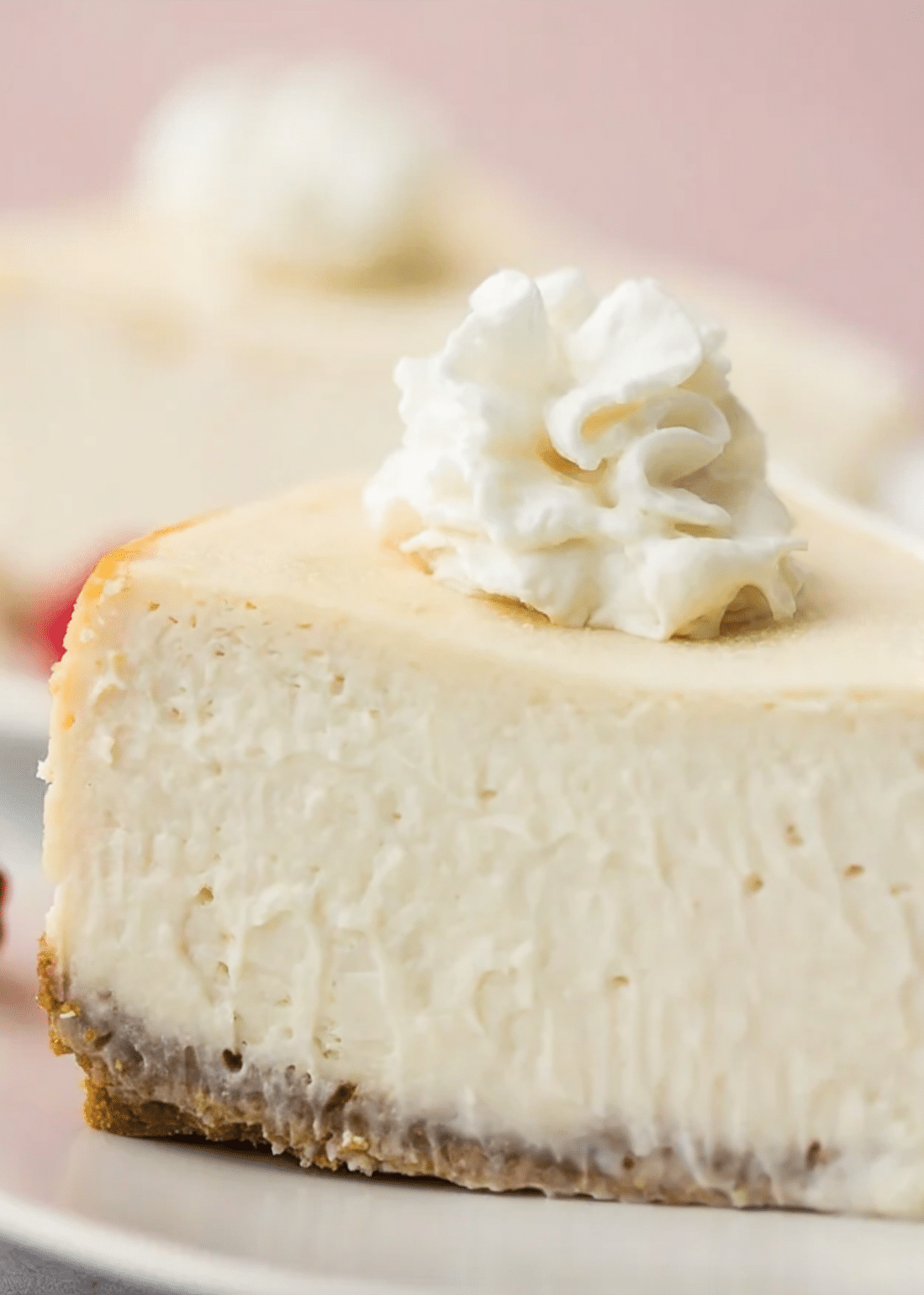 Vegan cheesecake Recipes (5) Vegan cheesecake flavor variations